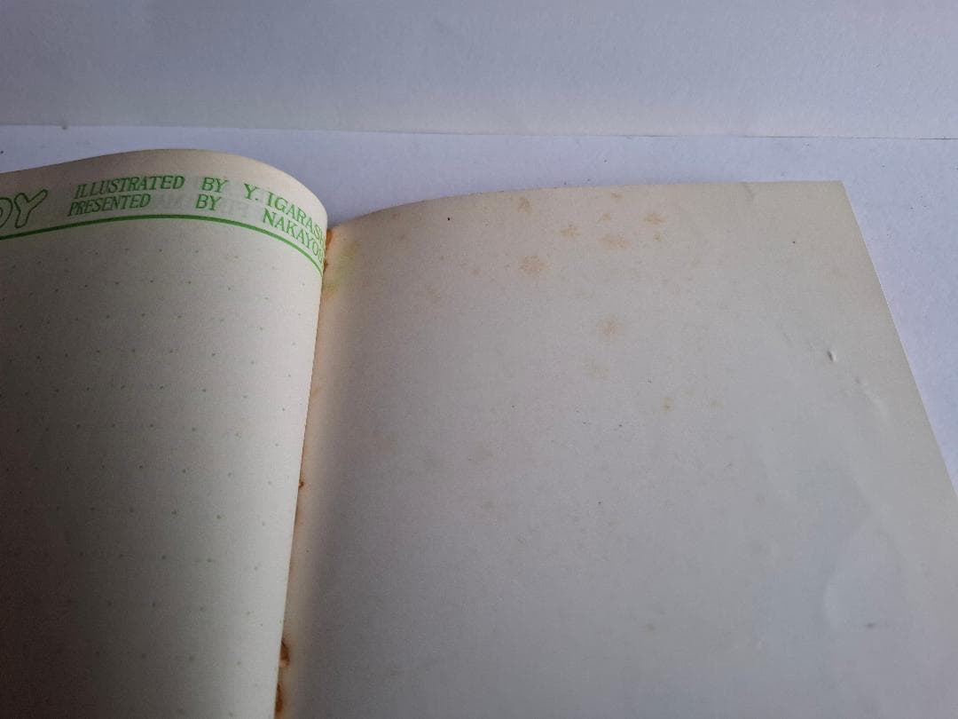 Candy Candy Viva Summer Note - Nakayoshi 1978