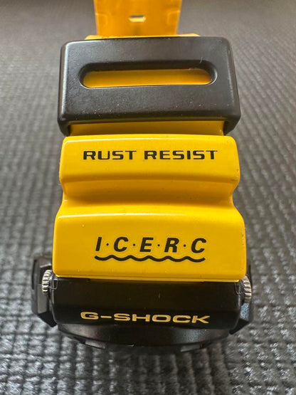 Beautiful Condition G-SHOCK CASIO 2009 Dolphin Whale Model