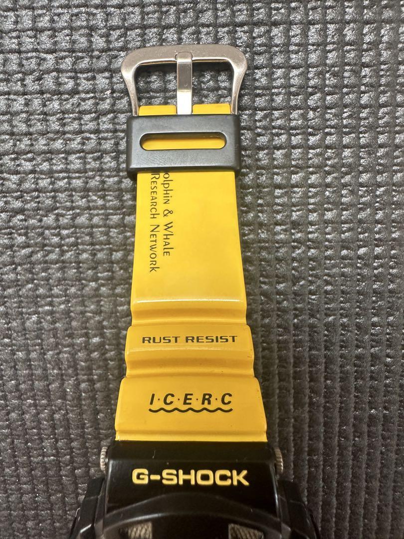 Beautiful Condition G-SHOCK CASIO 2009 Dolphin Whale Model