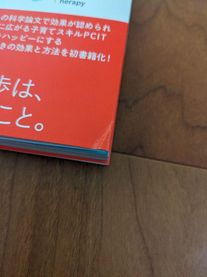 Transforming Parent-Child Relationships in Just 5 Minutes a Day! Making Childcare Easier! Learning from PCIT