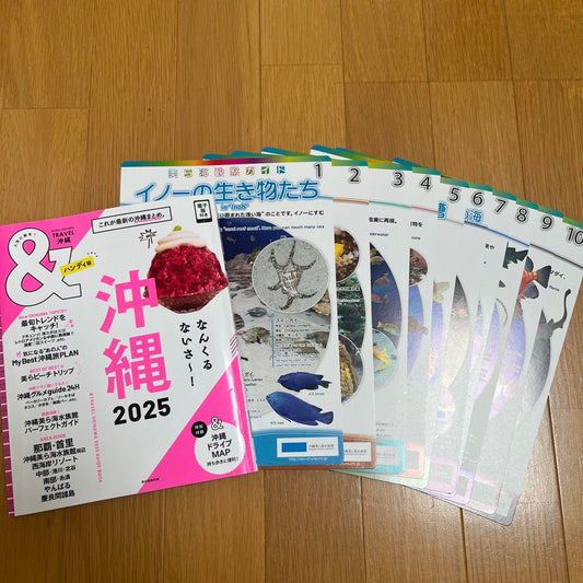 Okinawa 2025 TRAVELOkinawa Okinawa Travel