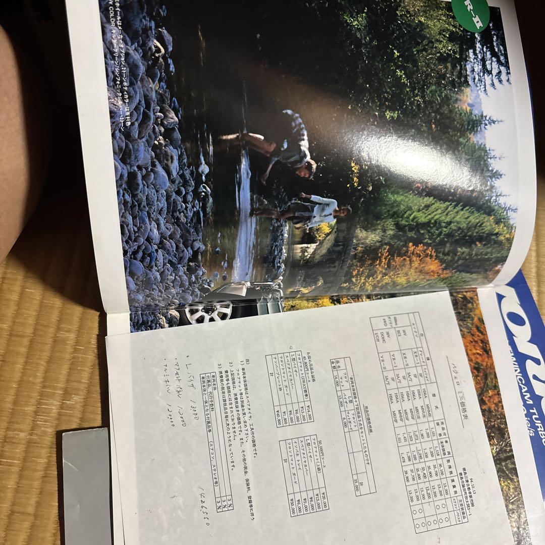 Mitsubishi Pajero Mini Special Issue