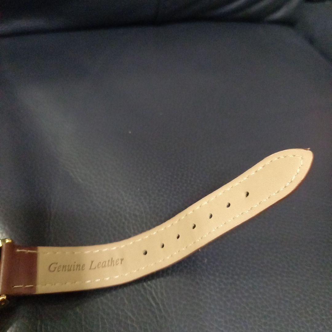 SUN FLAME Automatic Gold/Brown Watch