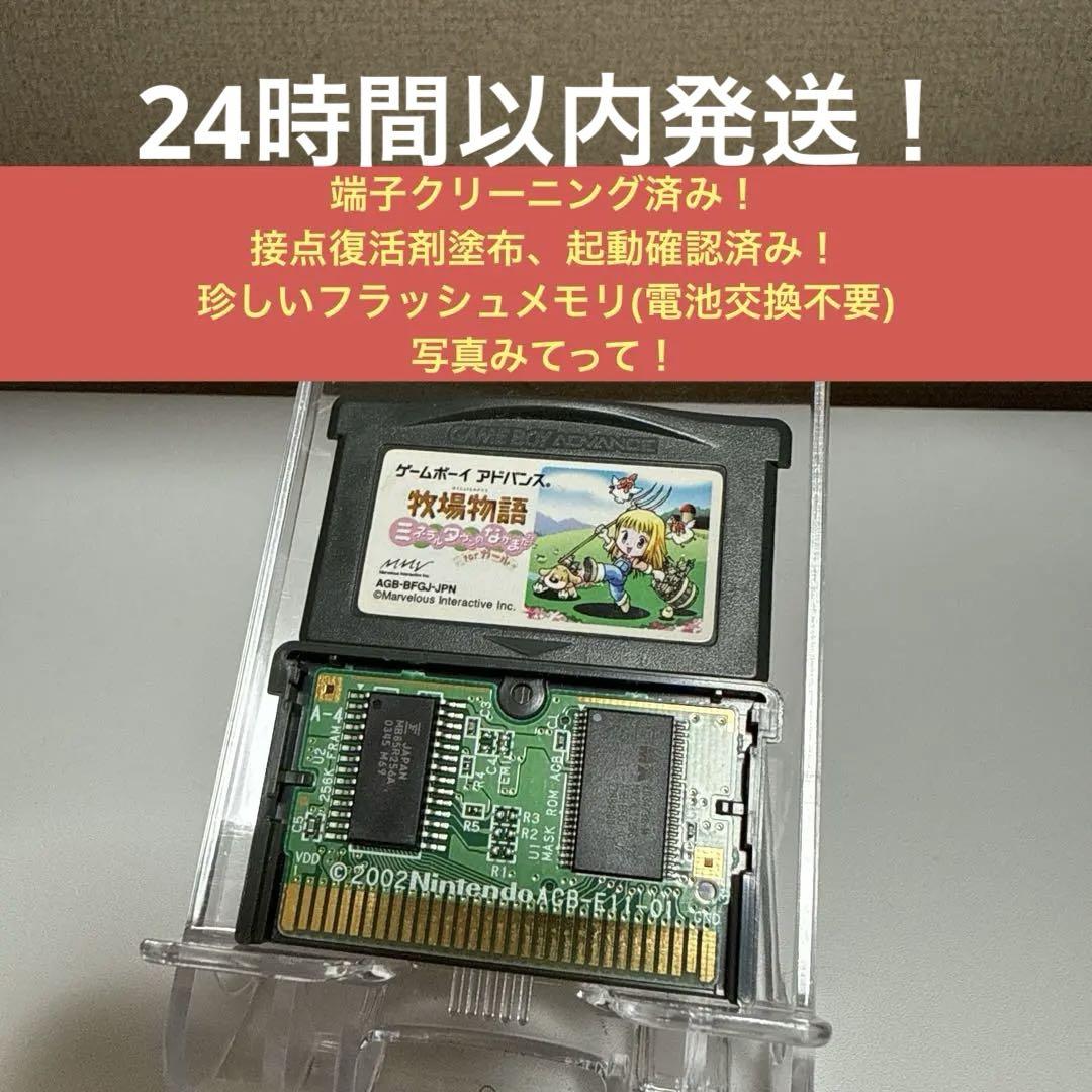 Harvest Story: Mineral Town Friends for Girl Flash Memory Version