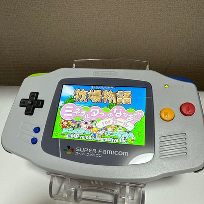 Harvest Story: Mineral Town Friends for Girl Flash Memory Version