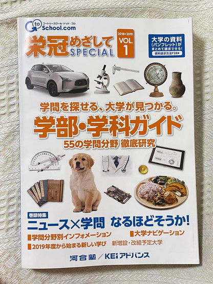 Striving for Glory SPECIAL Undergraduate and Faculty Guide