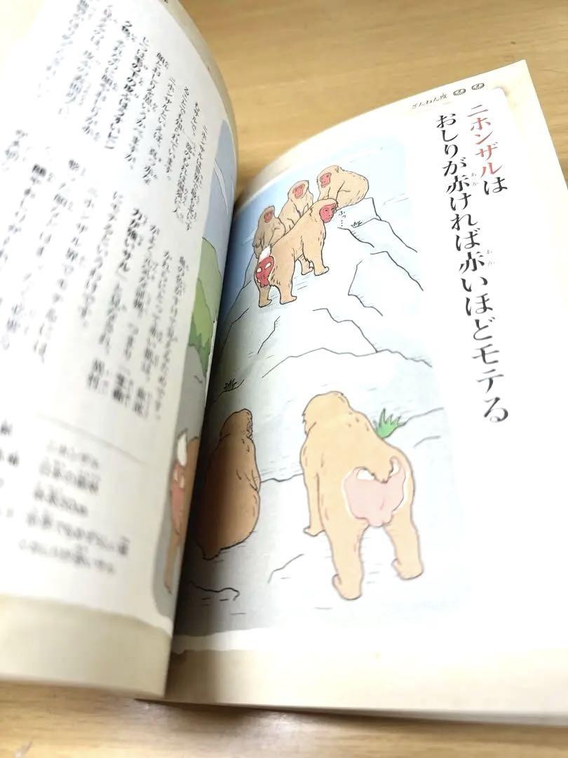 A Pity Animals Encyclopedia