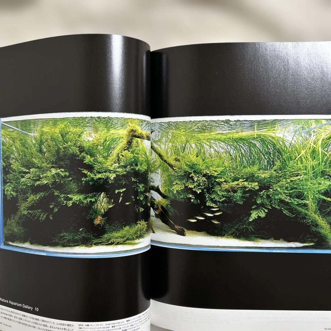 The Style of ADA 2006