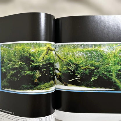 The Style of ADA 2006