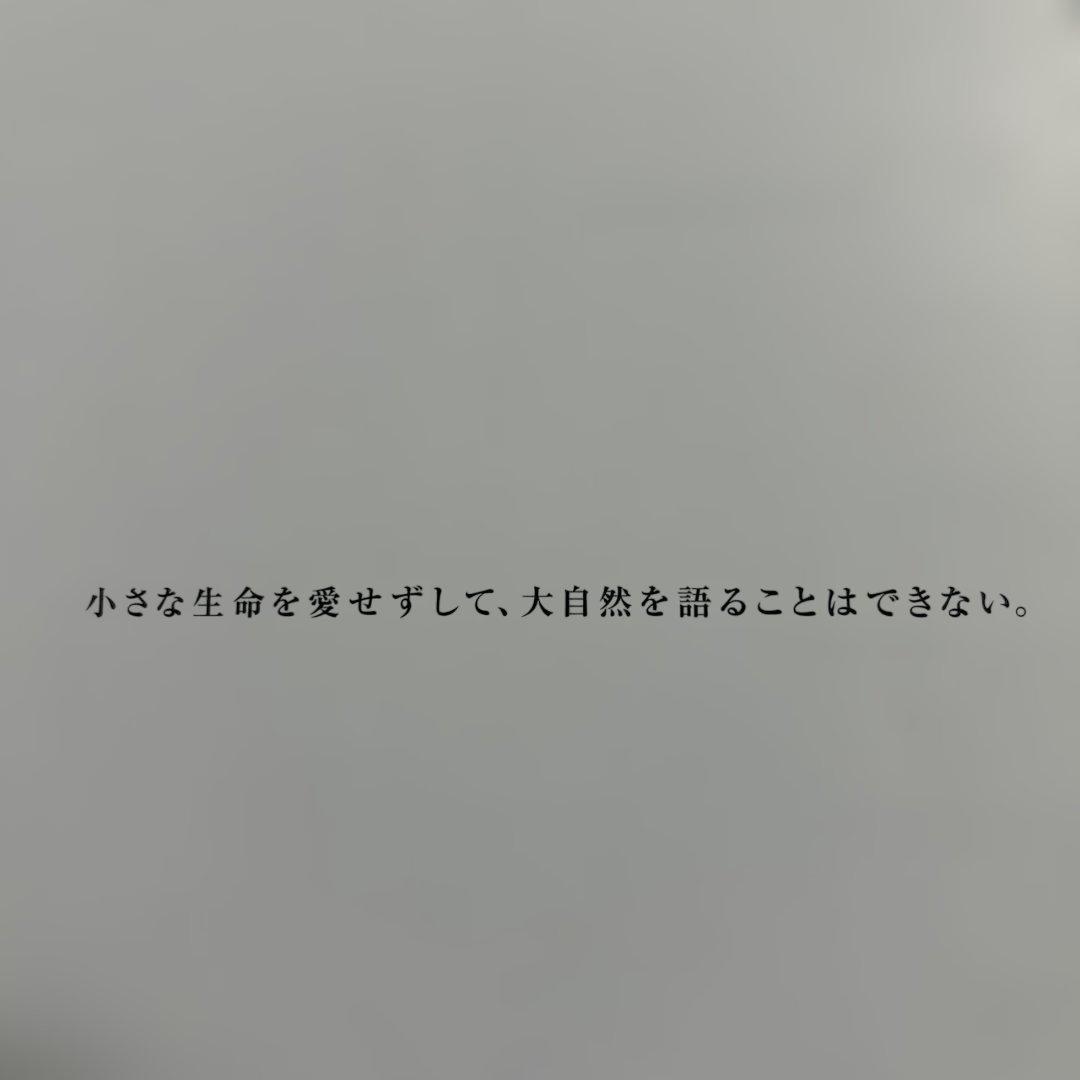 The Style of ADA 2006