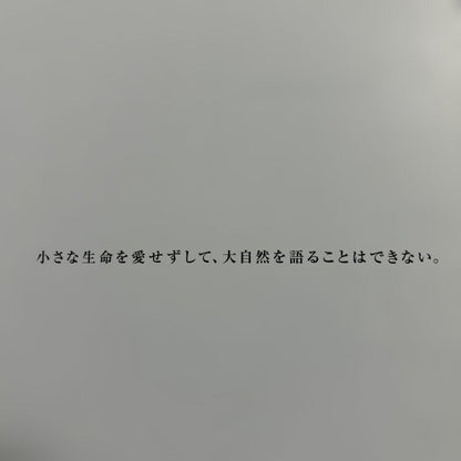 The Style of ADA 2006