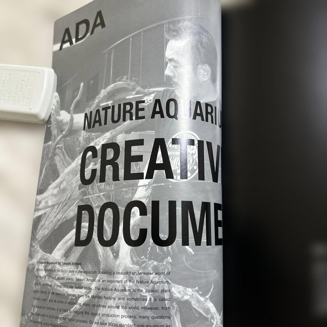 The Style of ADA 2006