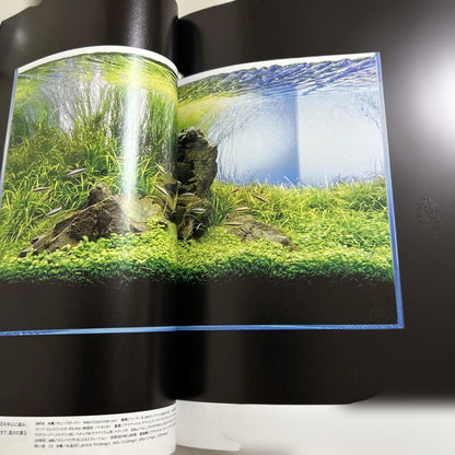 The Style of ADA 2006