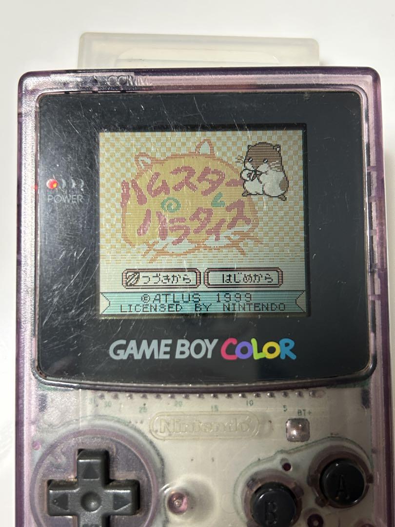 Hamsta Paradise Game Boy Color Software