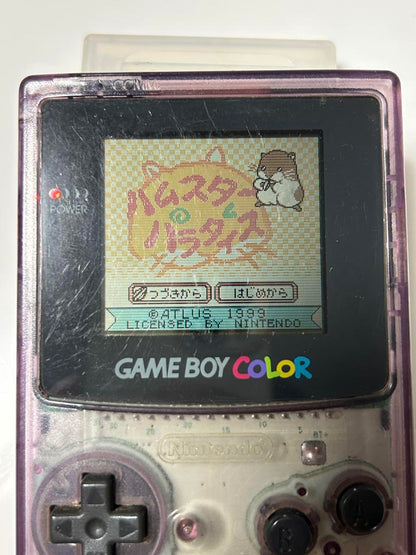 Hamsta Paradise Game Boy Color Software