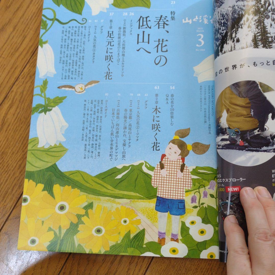 Mountain and Valley 2025 March Issue