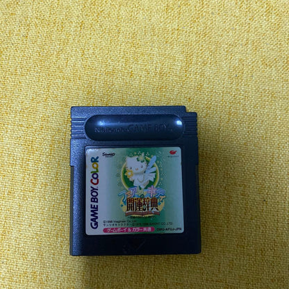 Fairie Kitty's Good Luck Dictionary