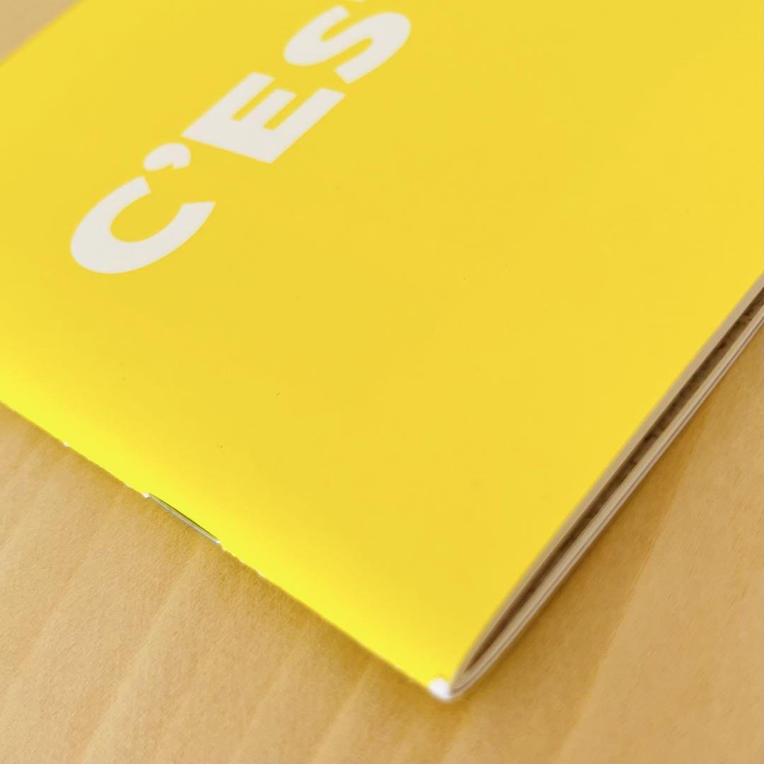 C'est la vie! / Pamphlet