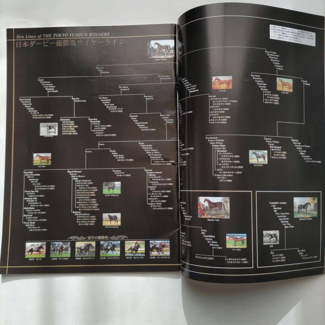 Racing JRA 80th Japanese Derby Anniversary Book Commemorative Album