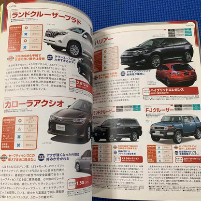 Private Car September 2015 New Type Sienna