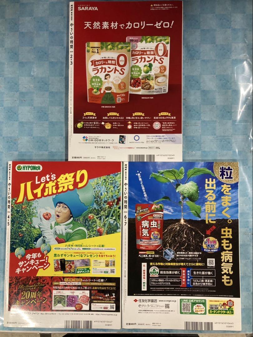 NHK Text: Veggies Time 2024 Feb-Jul 3-Volume Set