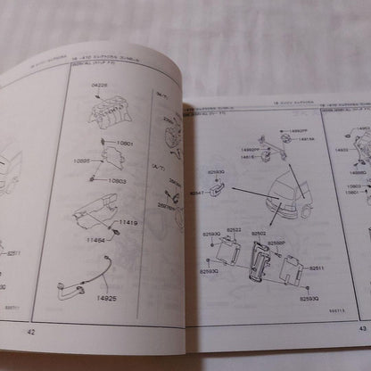 Mitsubishi Delica Cargo Illustrated Catalog