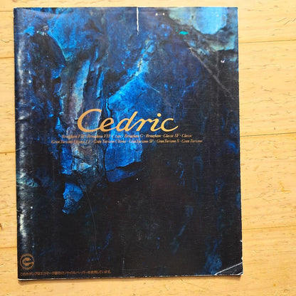 Nissan Luxury Car Catalog Set