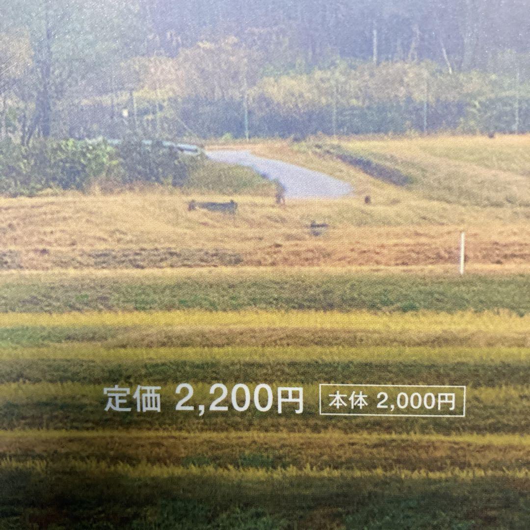 Toy-Factory Lifestyle Book