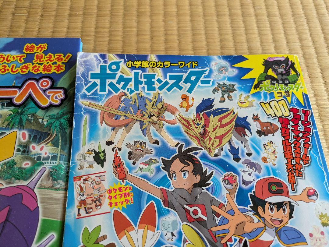 Pokémon Pocket Monsters: Galar Pokédex Found with Magic Ruler!