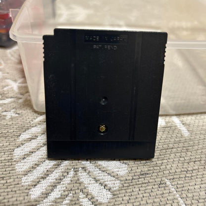 Adorable Rabbit Game Boy Color