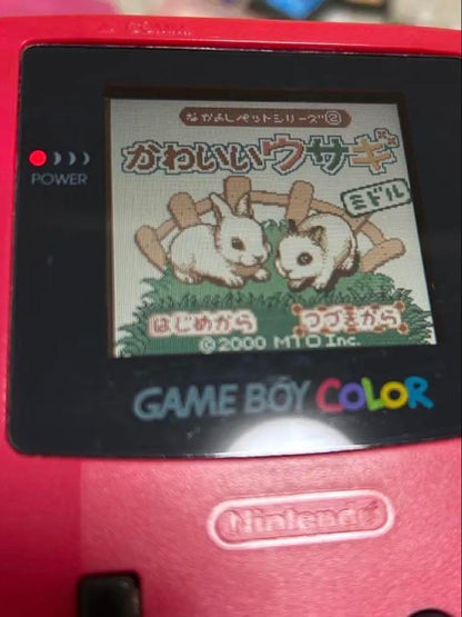 Adorable Rabbit Game Boy Color