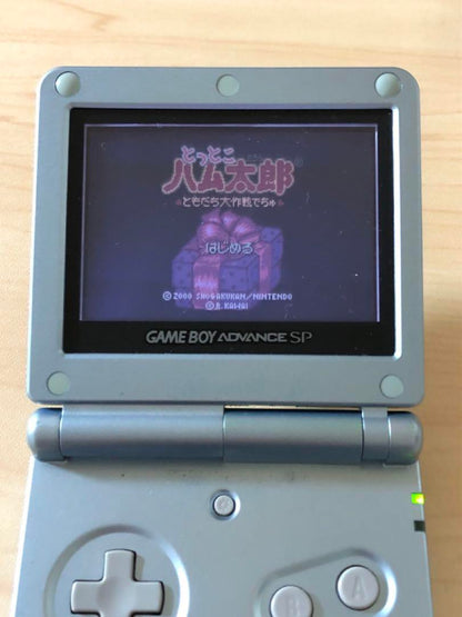 Totoko Hamtaro Game Boy Color Exclusive