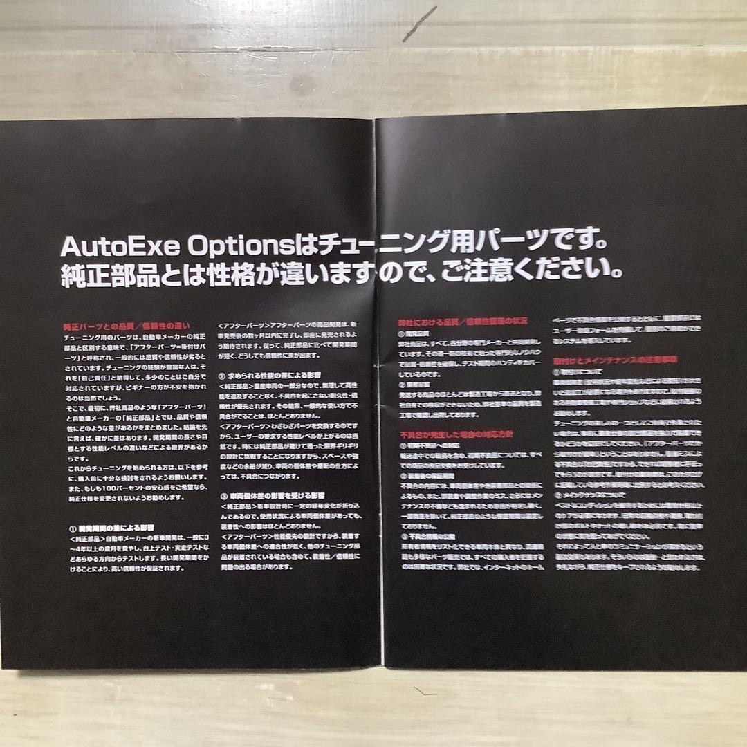 AutoExe Options 2008 Catalog