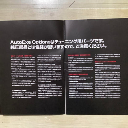 AutoExe Options 2008 Catalog