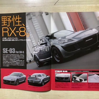 AutoExe Options 2008 Catalog