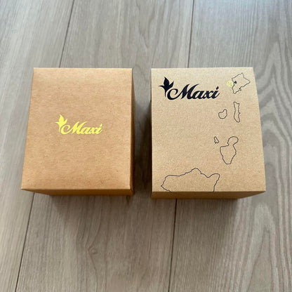 Maxi × ALIVE Collaboration watch