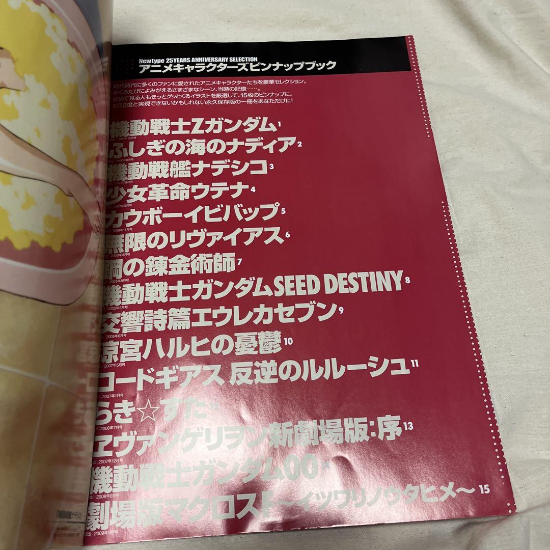 2010 Newtype 25th Anniversary 300th Issue Commemorative Magazine & Pin-up