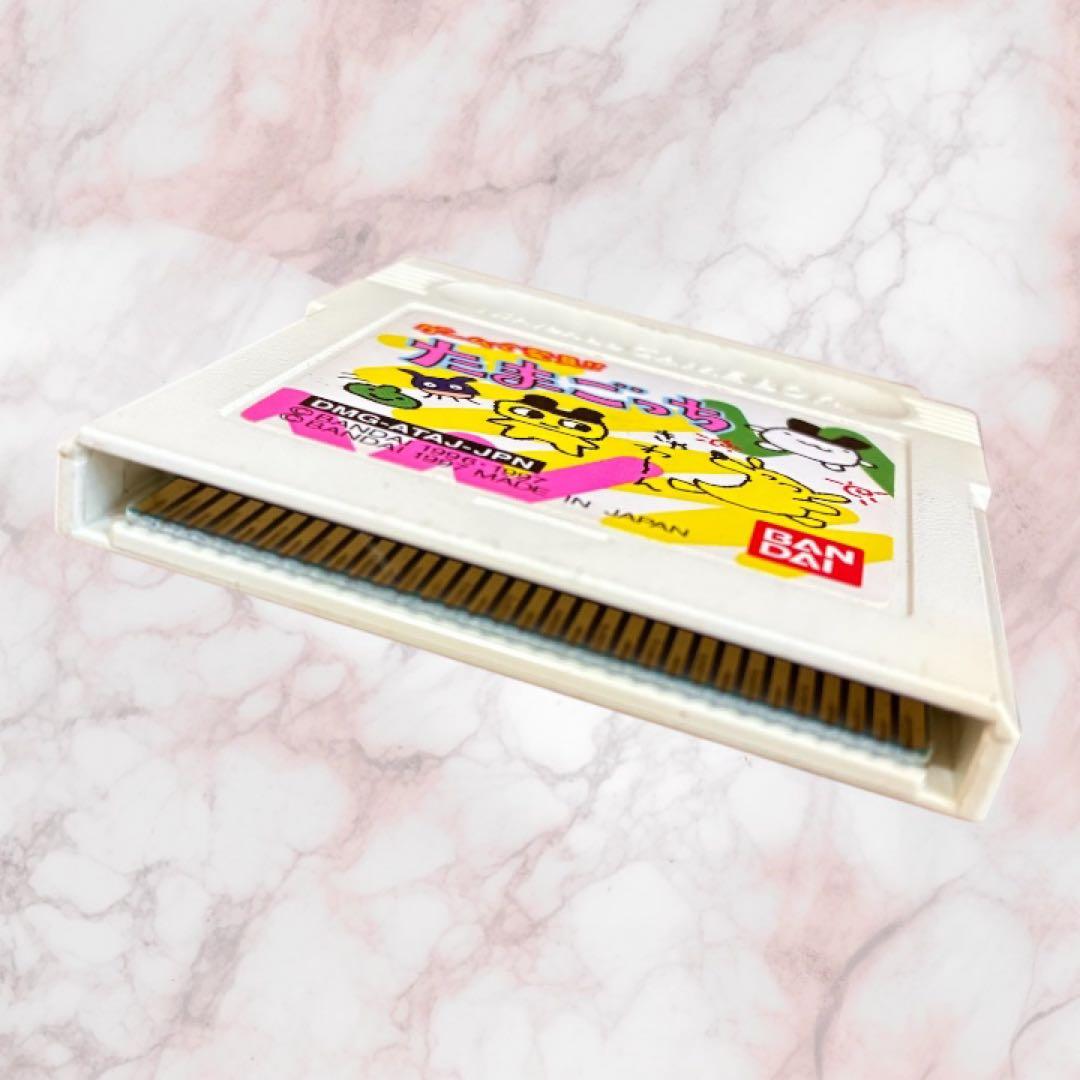Tamagotchi Game Boy Software