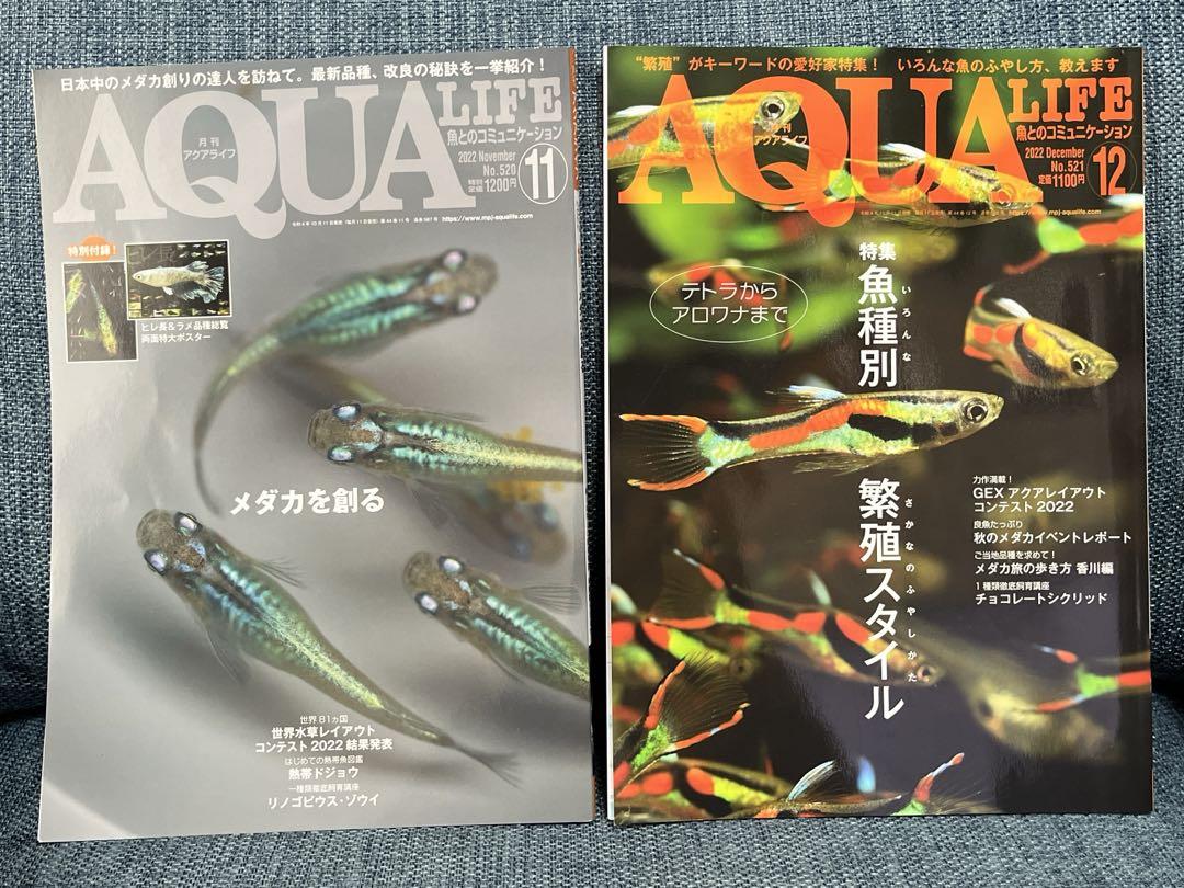 ‘Aquari Life' November/December 2022 Issue 2 Medaka