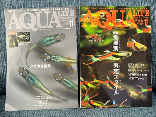 ‘Aquari Life' November/December 2022 Issue 2 Medaka