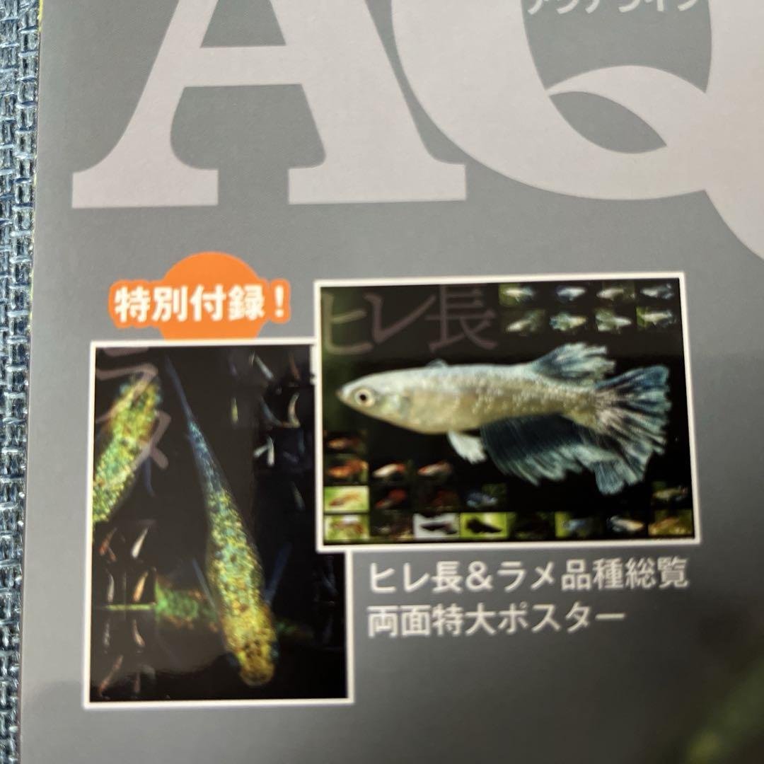 ‘Aquari Life' November/December 2022 Issue 2 Medaka