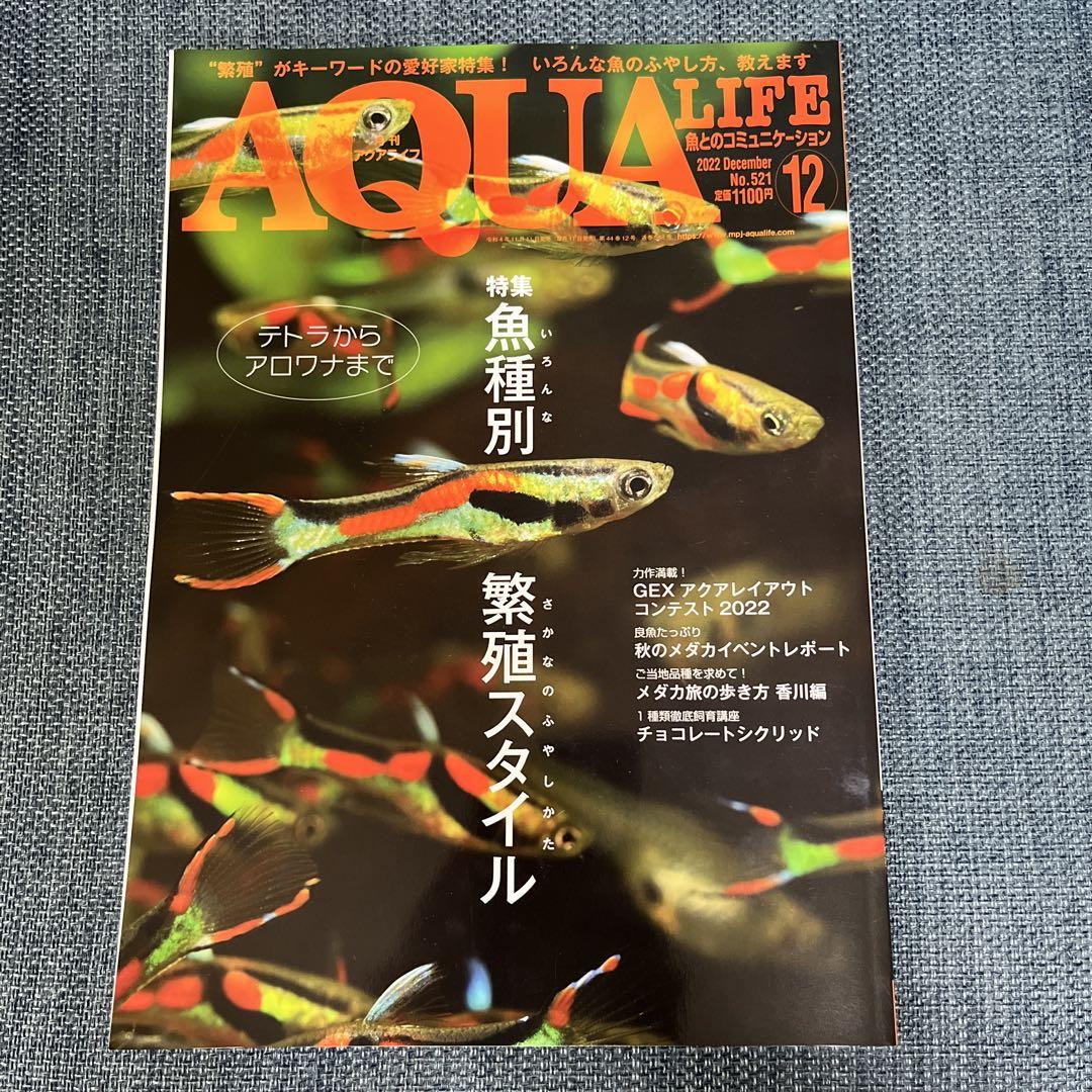 ‘Aquari Life' November/December 2022 Issue 2 Medaka