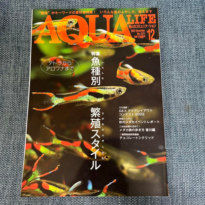 ‘Aquari Life' November/December 2022 Issue 2 Medaka