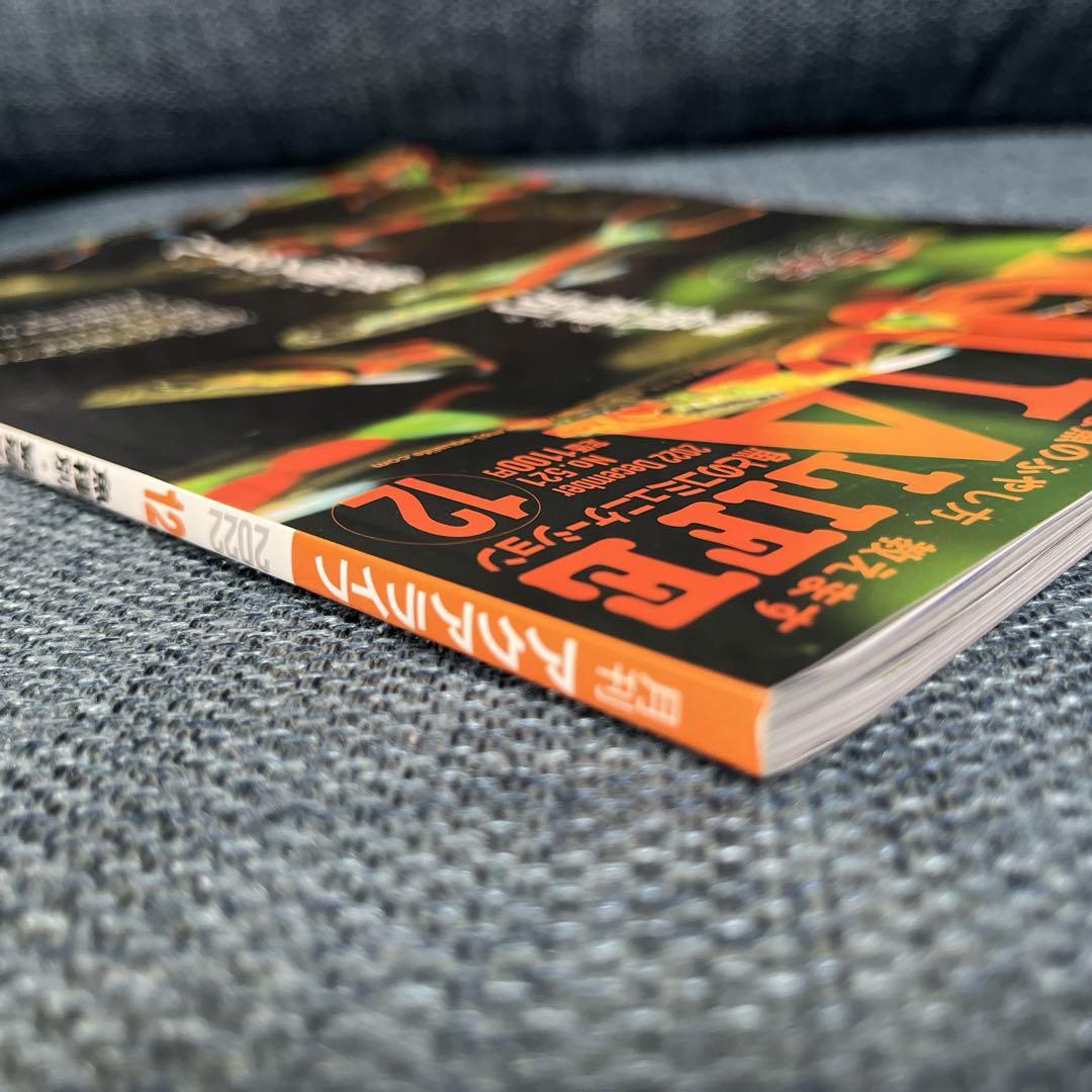 ‘Aquari Life' November/December 2022 Issue 2 Medaka