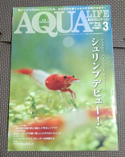 Aqua Life 3-Volume Set (August 2018, March 2021, December 2022)