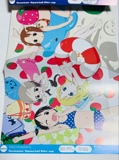 Animage August 2005 Issue Cover [Fullmetal Alchemist]