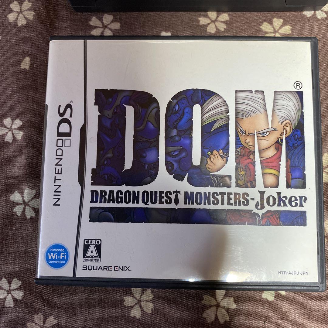 Nintendo DS software