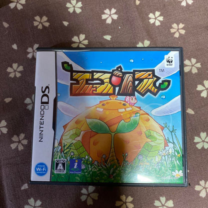 Nintendo DS software