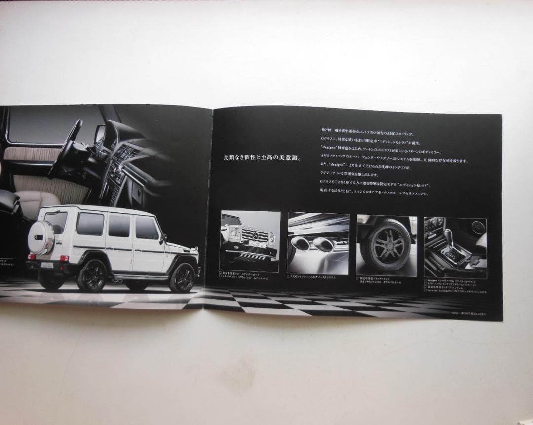 Mercedes-Benz G CLASS Catalog 【Rare Item】[#255]