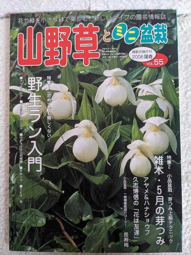 Wildflowers and Miniature Potted Plants, Spring 2006 Issue